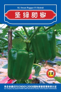 圣綠甜椒 (6009)