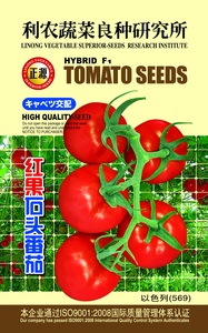 紅果石頭番茄 (569)