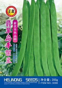 翡翠扁平架豆