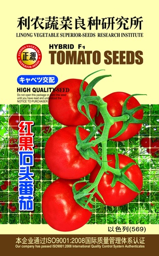 红果石头番茄 (569)