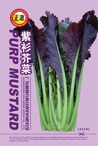 紫衫芥菜（2115）
