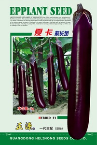 夏卡紫长茄 (506)
